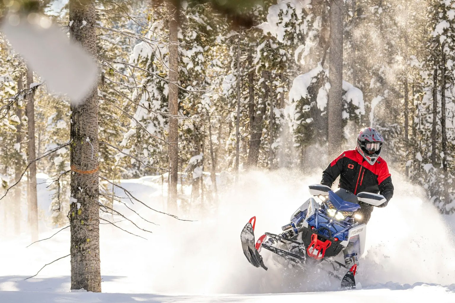 Polaris Snowmobiles — Snowmobile